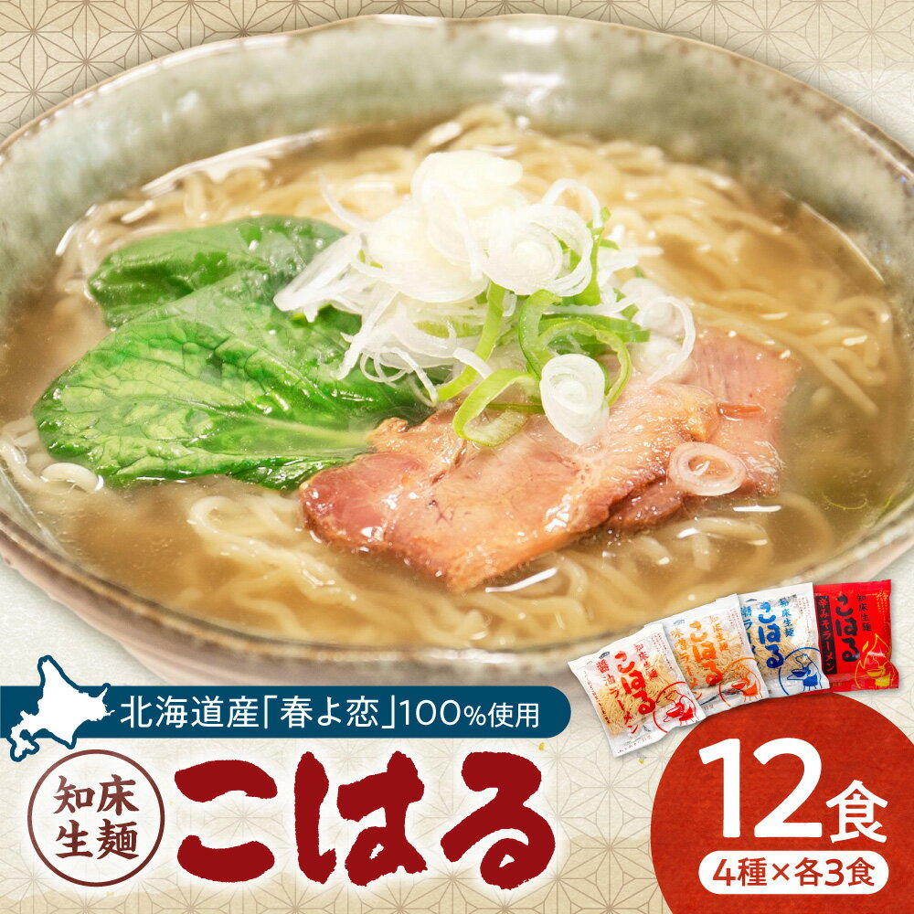 【ふるさと納税】生麺「こはる」12食(4種×3食ずつ)セット【配送不可地域：離島・沖縄県】
