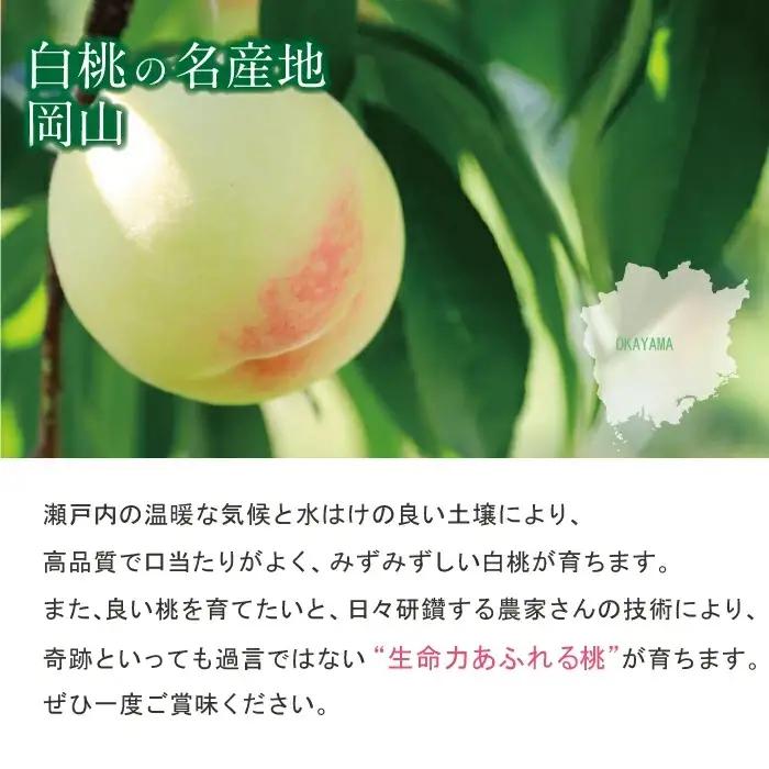 清水白桃 ご自宅用お試しサイズ 1.4kg前後 momo70 【配送不可地域：北海道／沖縄県／離島】 【jujy087-01】