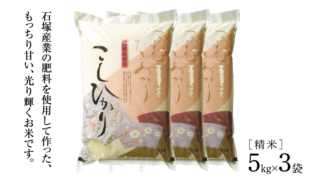 【 3ヶ月 定期便 】【 令和7年産 】 コシヒカリ 精米 5kg × 3回 ( 合計 15kg )（茨城県共通返礼品かすみがうら市）米 もっちり 甘い 銘柄米 [EX017sa]