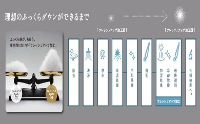 【西川】羽毛ふとん/ポーリッシュホワイトグースダウン95％/S【P059T】