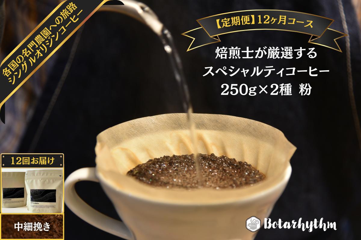 
            【定期便】スペシャルティコーヒー豆 焙煎士セレクト 250g×2種【粉】 12ヶ月 mi0043-0008 【コーヒー 焙煎士 浅煎り 深煎り 甘味 酸味 コク】
          
