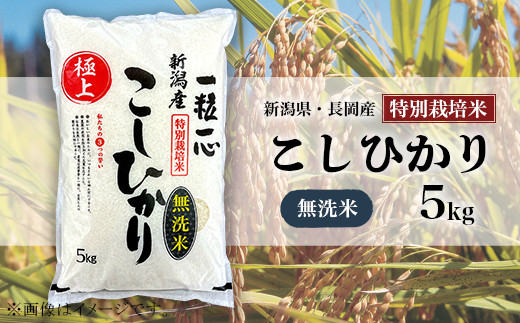 
                  48-7M051【無洗米】新潟県長岡産特別栽培米コシヒカリ5kg
                