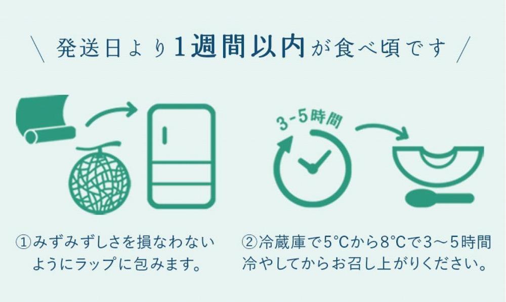 静岡アローマメロン　山級　1.４kg前後　４個セット