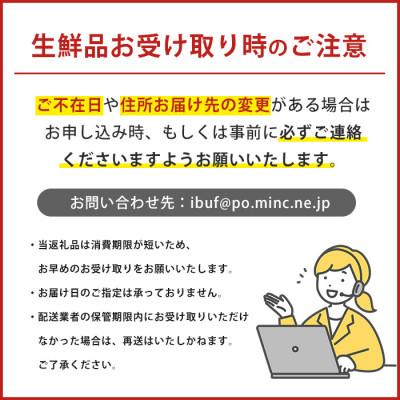 ふるさと納税 指宿市 季節のエディブルフラワー(約100輪)(010-1526) |  | 03