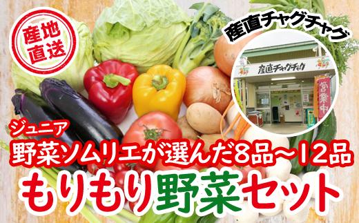 
滝沢もりもり野菜セット（８品から１２品）【滝沢産業開発】/ 野菜 やさい セット 詰め合わせ
