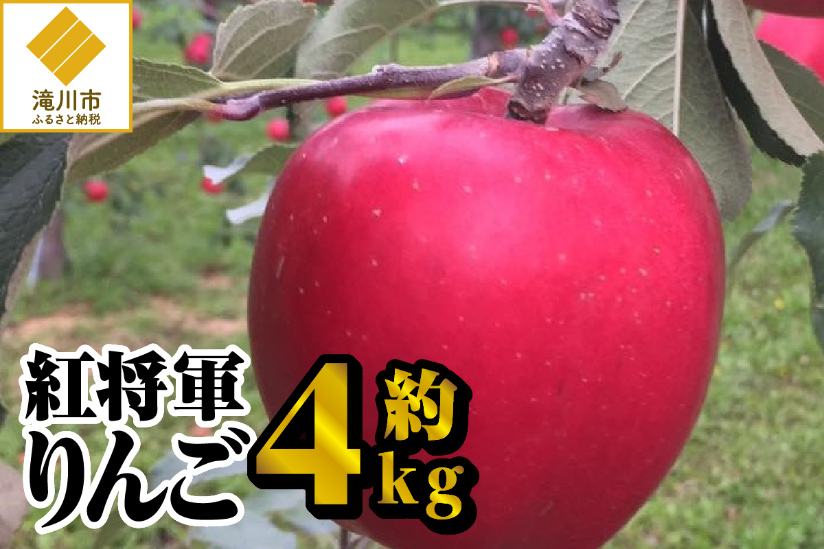 【令和7年出荷受付】紅将軍りんご　約4kg|先行受付 数量限定 りんご 林檎 フルーツ 果物 北海道