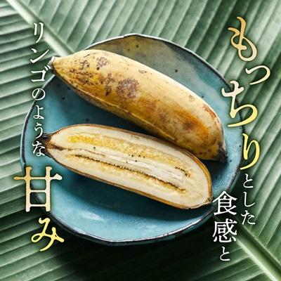 ふるさと納税 西原町 西原町の栽培期間中農薬不使用のナムワバナナ5kg |  | 01