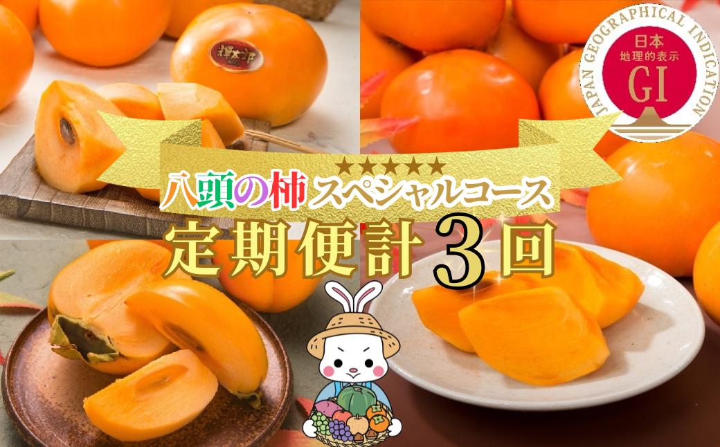 【2026年発送分】八頭の柿スペシャルコース【10月～12月/3回お届け】
