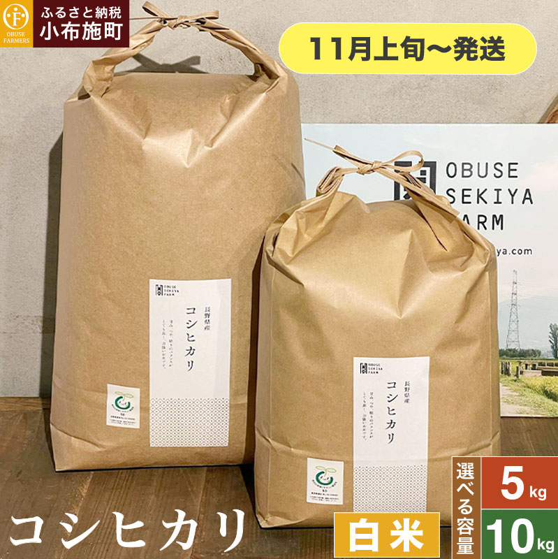 【ふるさと納税】 コシヒカリ 白米 約5kg 約10kg 選べる容量［おぶせファーマーズ］ お米 米 おこめ こしひかり 長野県産【2025年11月上旬～発送】
