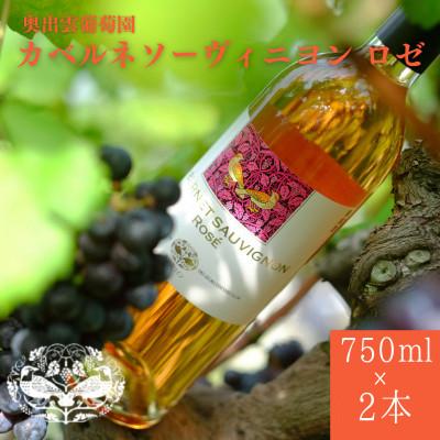 ふるさと納税 雲南市 カベルネソーヴィニヨン・ロゼ 750ml×2本 ミディアムボディ