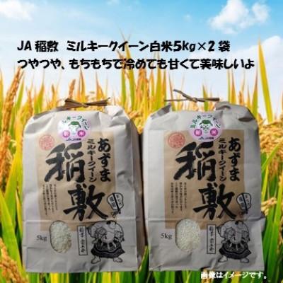 ふるさと納税 稲敷市 【令和7年産】ミルキークイーン白米10kg(5kg×2袋)