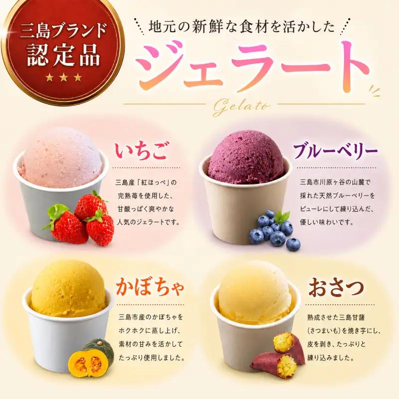 手作りジェラート 12種 詰め合わせ ジェラート
