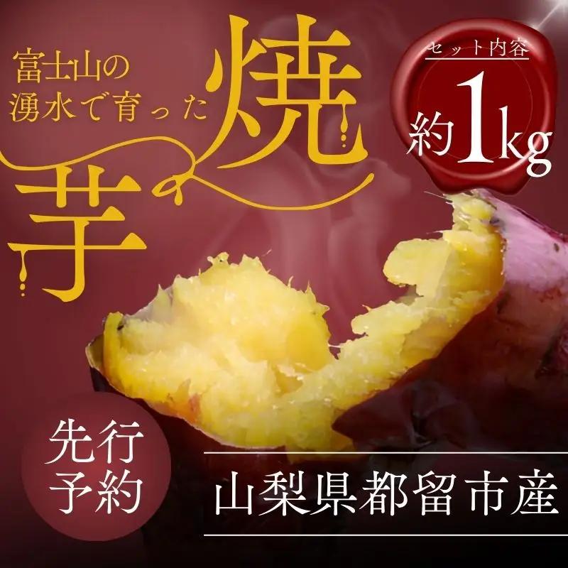 【2026年度先行予約】富士山の湧水で育った焼きいも　約1kg｜焼き芋