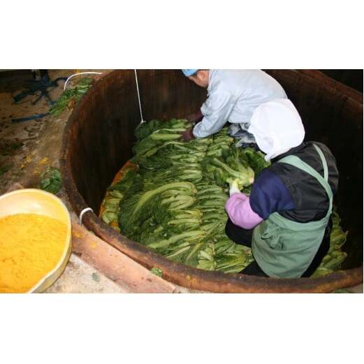 【6回定期便】高菜乃華 3個入りセット 高菜漬一筋-前田食品工業 辛子めんたい高菜 辛子高菜 葉がくれ F30-12_イメージ5