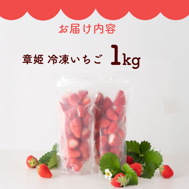  冷凍いちご 1kg 章姫 国産 冷凍 いちご 1kg フルーツ スイーツ デザート くだもの 果物 ストロベリー 甘い おいしい 大粒 濃厚 冷凍いちご かき氷 静岡県 牧之原市 藤田農園 1kg