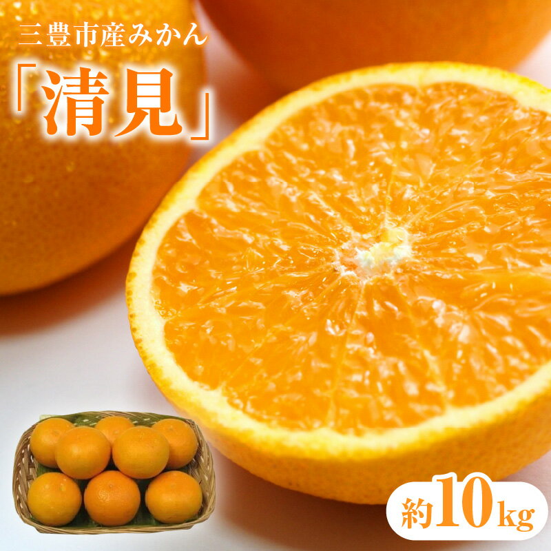 【ふるさと納税】 フルーツ みかん 三豊市産みかん「清見」約 10kg 先行予約 [ 清見みかん 約10kg フルーツ 果物 柑橘 ジューシー 甘い 旬 新鮮 直送 産地直送 予約販売 人気 ギフト お歳暮 贈答用 家庭用 10,000円 台 送料無料 香川県 三豊市 返礼品 五色青果 ]