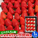 【ふるさと納税】にべさんちの苺 熊本県産 イチゴ 空音(そらね) 極み 1箱 9～12個 いちご 苺 フルーツ 果物 果実 くだもの 冷蔵 九州 熊本県 送料無料 【2025年1月下旬発送開始】