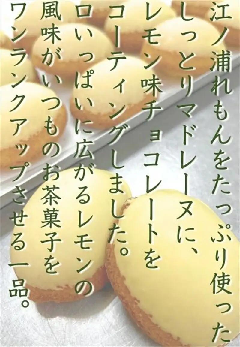 西湘菓子工房樫の樹　江ノ浦れもん10個入りギフト 【 お菓子 スイーツ 神奈川県 小田原市  お菓子】