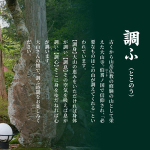 SS-01　山楽荘宿泊券（1泊2食付き/シングル）