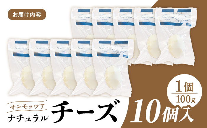 自家製ナチュラルチーズ サンモッツア 10個 ( 100g × 10個 ) 熊本 山都町【山の未来舎】[YBV009]