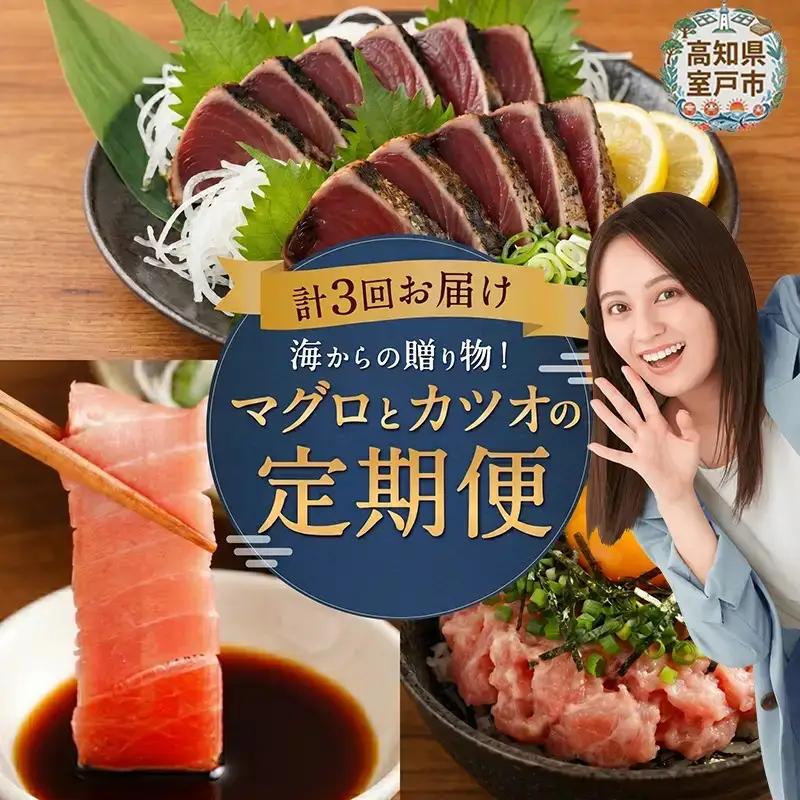 【3回お届け定期便】タカシン水産 人気 定期便 tk005 FN-Limited-PR