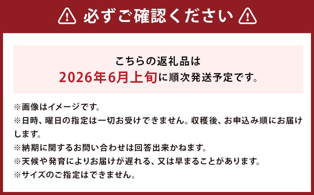 グリーンアスパラ 約1.2kg （Lサイズ 約400g×2袋・Mサイズ 約400g×1袋） （JA）