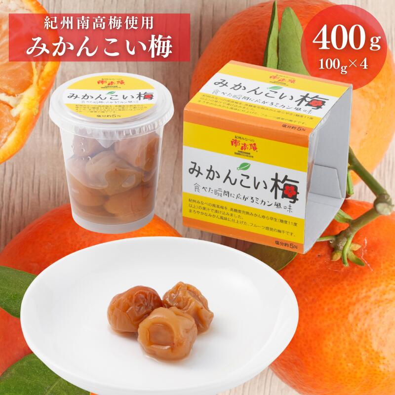 【ふるさと納税】みかんこい梅 100g×4個 | 《日本一の梅の産地》 紀州 和歌山県 みなべ町 梅干し 柑橘仕立て梅 うめ フルーツ梅干し 塩分 5%