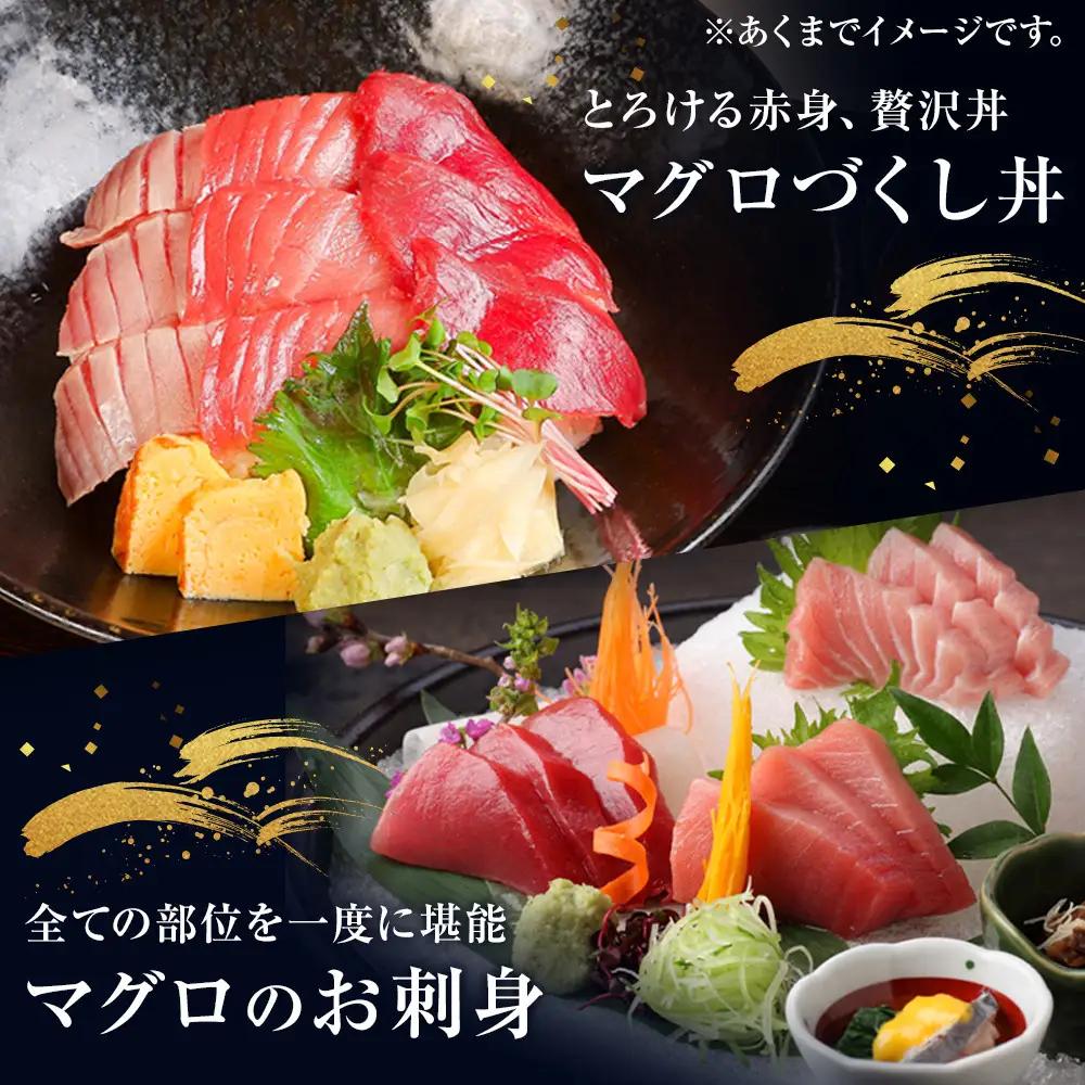 【近大マグロ 1本丸ごとお届け】鹿児島県 奄美大島産 近大マグロ 1本40kg前後 養殖クロマグロ 赤身 大トロ 中トロ 近畿大学