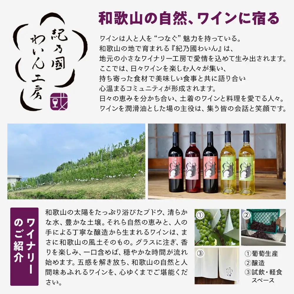 紀乃國わいん工房 神宿り マスカット・ベリーA 2025 750ml