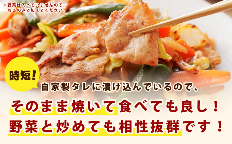 国産 豚スライス(豚もも) タレ漬 1kg(250g×4パック) 小分け 時短 焼くだけ 簡単 099H3374_イメージ3