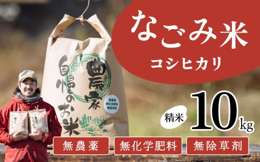 【12月発送】茨城県下妻市産 なごみ米（ コシヒカリ ） 精米 10kg 【 お米 コシヒカリ 米 無農薬 無化学肥料 無除草剤 精米 自然 農法 茨城県産 】
