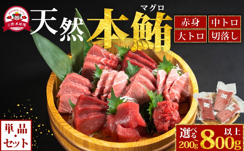 
                  【スピード発送】 天然本マグロ 赤身 中トロ 大トロ 切り落とし 選べる 200g~800g 急速凍結 天然 本鮪 訳あり 不定型柵 鮪 マグロ まぐろ 冷凍 漬け ユッケ 海鮮 本マグロ 本まぐろ 切落し 鮮度 新鮮 人気 おいしい 大船渡 三陸 岩手 国産
                