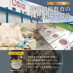 【ふるなびWEEK対象】寝かせ玄米ごはんパック 4種ミックス 160g×12食 (小豆ブレンド／黒米ブレンド 各4食、もち麦ブレンド／十五穀ブレンド 各2食) [1616f]