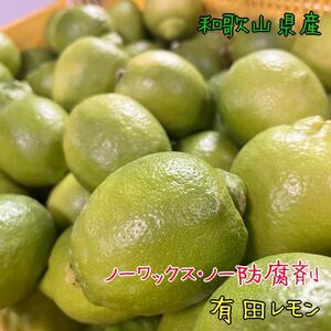 紀州和歌山　有田レモン　約1kg【農家直送】【先行予約・2024年10月上旬～2025年1月下旬発送】