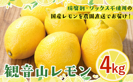 ノーワックス 観音山レモン4kg