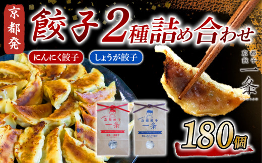 選べる 餃子 2種詰め合わせセット にんにく餃子 ＆ しょうが餃子  180個  冷凍 ぎょうざ ギョウザ ギョーザ しょうが 生姜 豚肉 便利 簡単調理 惣菜 絶品 おかず お子様 家族 こだわり餃子 餃子 人気餃子 簡易包装餃子 冷凍餃子 冷凍生餃子 京都 井手町 京都餃子一条