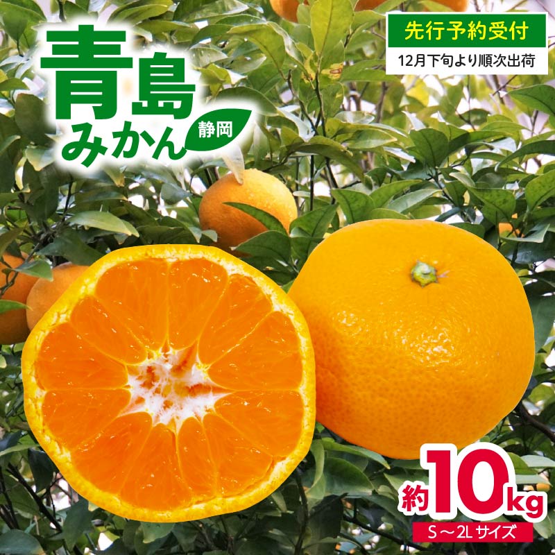 【ふるさと納税】 先行予約 12月下旬-1月下旬発送予定みかん 10kg S-2L 青島 ミカン 果物 国産 フルーツ 柑橘 静岡県産 蜜柑 訳あり ミックス 不揃い ビタミン 美味しい 旬 産地直送 贈答用 ギフト 冬の味覚 甘い 人気 おすすめ 藤枝市 静岡県