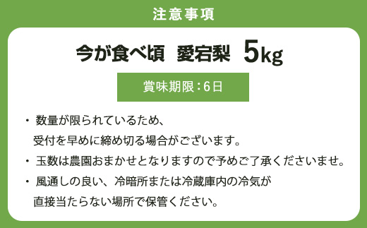 訳あり 今が食べ頃 特栽 旬の梨5kg　愛宕梨　果物 フルーツ くだもの