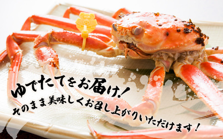 ≪浜茹で≫越前ずわい蟹 大きめサイズ× 1杯（800～900g）地元で喜ばれるゆで加減・塩加減で越前の港から直送！【12月発送分】【雄 ズワイガニ ずわいがに 姿 ボイル 冷蔵 福井県】希望日指定可 