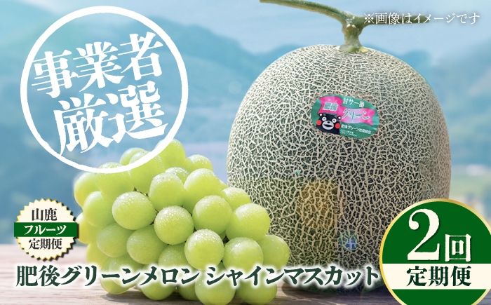 
                  【2回定期便】 フルーツの名産地 山鹿から直送する旬のフルーツ [ZZZ006]
                