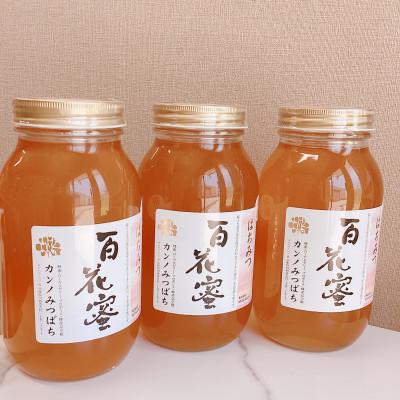 ふるさと納税 川西市 百花蜂蜜1200g3本セット