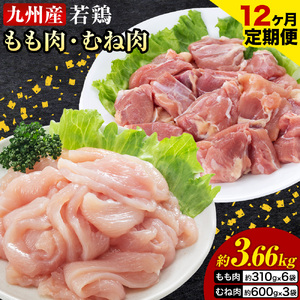 【12ヶ月定期便】 九州産若鶏もも肉（310g×6袋）・むね肉（600g×3袋）セット  鶏肉 お肉 モモ肉 もも肉 ムネ肉 むね肉 2種類 小分け 冷凍 九州産 国産 熊本県 菊池市 送料無料《お申込み翌月から出荷》