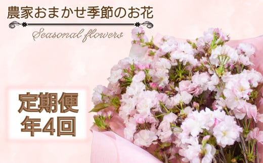 季節のお花 定期便 年4回 おまかせ 草花 誕生日 記念日 母の日 父の日 敬老の日 ギフト プレゼント お祝い 贈り物 贈答 インテリア おしゃれ かわいい 雑貨 飾り 鑑賞 旬 植物 春夏秋冬 季
