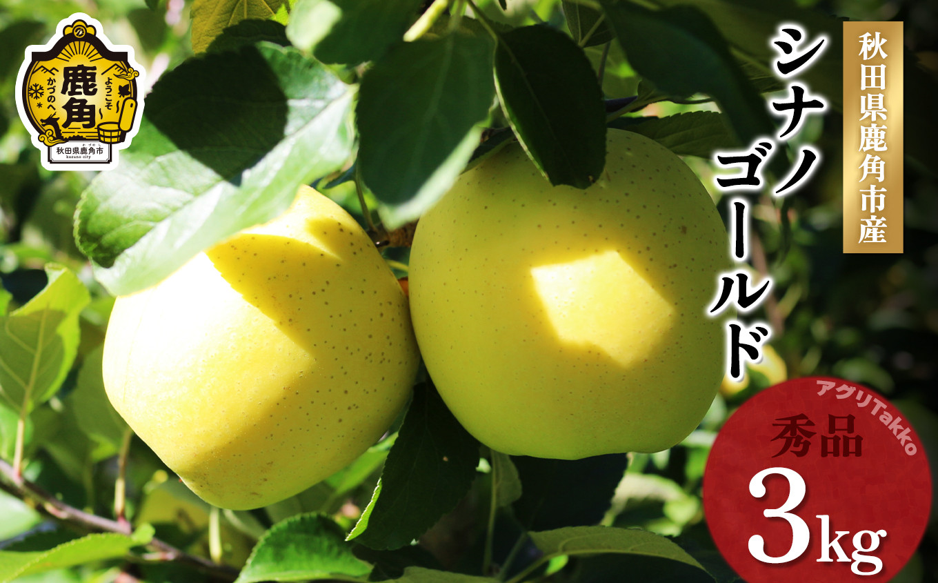 
《先行予約》秋田県鹿角産りんご「シナノゴールド」秀品 約3kg【アグリTakko】●2024年11月下旬発送開始 数量限定 リンゴ 完熟 旬 県産りんご お中元 お歳暮 グルメ ギフト 故郷 秋田 あきた 鹿角市 鹿角 送料無料
