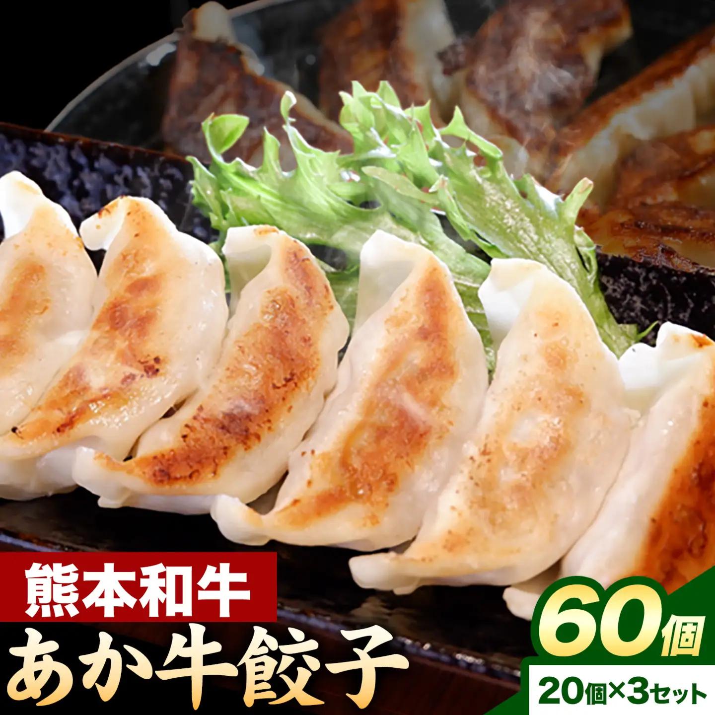 熊本和牛 あか牛 餃子 40個 