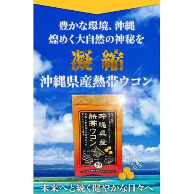 ふるさと納税 糸満市 【金秀バイオ】沖縄県産 熱帯ウコン 90粒 2袋セット 60日分 (約2ヶ月分) サプリ |  | 02