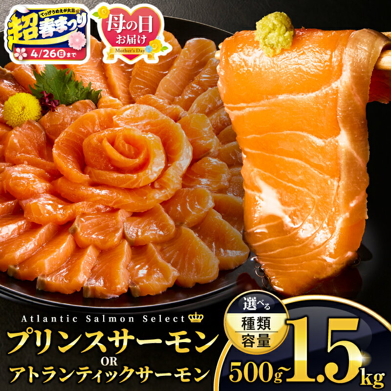 【ふるさと納税】【超！春まつり 生活応援・大感謝規格】【種類・内容量が選べる】アトランティックプリンスサーモン or アトランティックサーモン or 食べ比べ セット 生食 生 生食用 骨なし 鮭 シャケ サケ サーモン モウイプリンス 個包装 小分け 人気 おすすめ 宮崎市