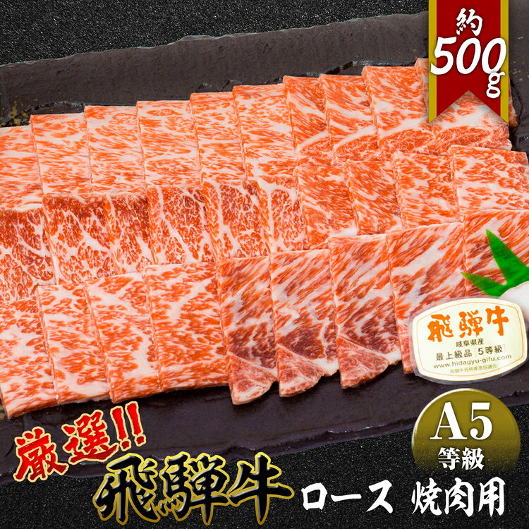 【ふるさと納税】店主こだわり雌牛 飛騨牛A5等級　ロース　焼肉用　約500g [No.038] ／ 牛肉 ブランド牛 やきにく メス牛 冷凍 送料無料 岐阜県 特産