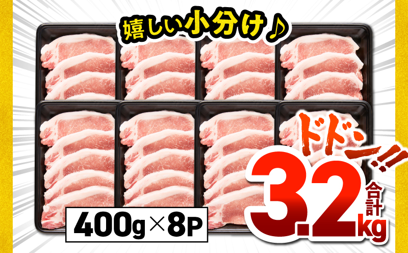 鹿児島県産豚肉ロースカツ用 3.2kg セット　KN165-009