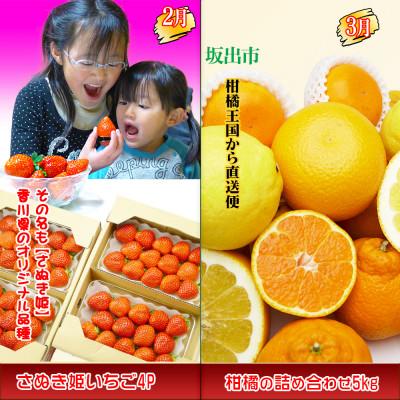 ふるさと納税 坂出市 【発送月固定定期便】創業100年坂出産のフルーツとさぬきの特産品の定期便【Bコース4回】全4回 |  | 01